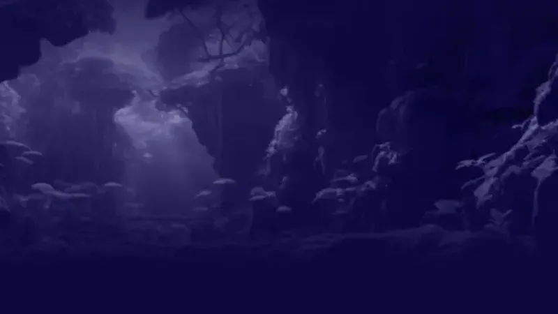 Promocodes bij Spinpanda Casino